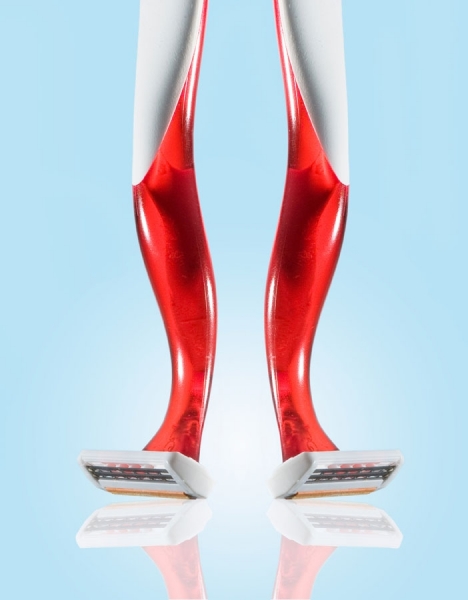 Photograph Greg Heck Razor Legs on One Eyeland